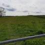 churchfieldmay21.jpg