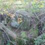 broken_cross_in_hedgerow_-_geograph.org.uk_-_2157199.jpg